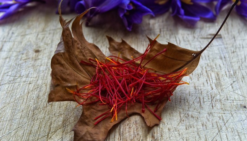 crocus sativus ou safran